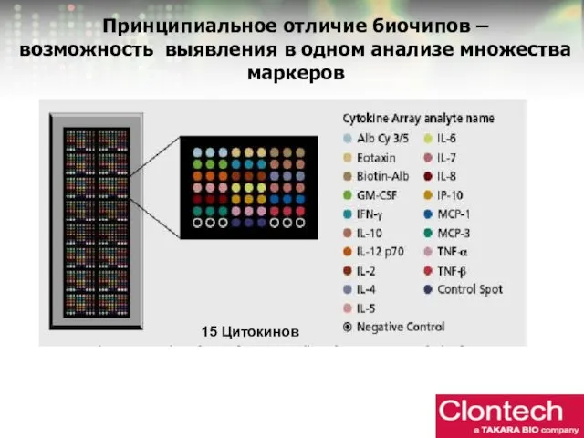 Принципиальное отличие биочипов – возможность выявления в одном анализе множества маркеров 15 Цитокинов