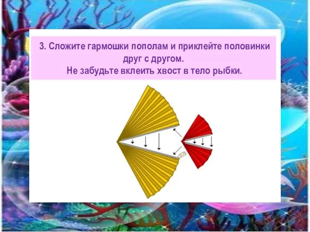 3. Сложите гармошки пополам и приклейте половинки друг с другом. Не забудьте