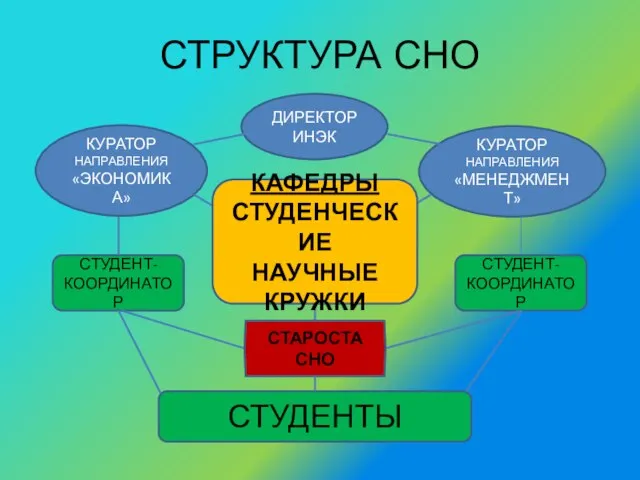 СТРУКТУРА СНО СТУДЕНТЫ СТУДЕНТ-КООРДИНАТОР СТУДЕНТ-КООРДИНАТОР ДИРЕКТОР ИНЭК КУРАТОР НАПРАВЛЕНИЯ «ЭКОНОМИКА» КУРАТОР НАПРАВЛЕНИЯ