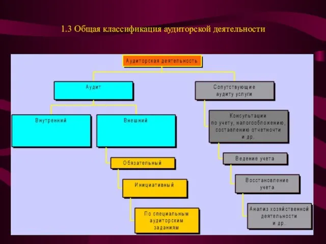 1.3 Общая классификация аудиторской деятельности