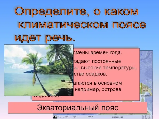 Определите, о каком климатическом поясе идет речь. Не происходит смены времен года.