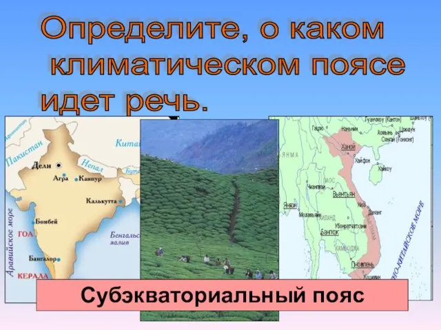 Определите, о каком климатическом поясе идет речь. Летом преобладают экваториальные воздушные массы,