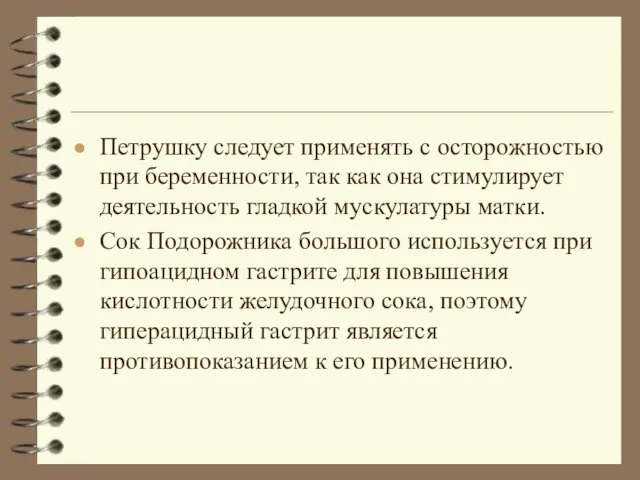 Петрушку следует применять с осторожностью при беременности, так как она стимулирует деятельность