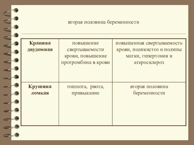 вторая половина беременности