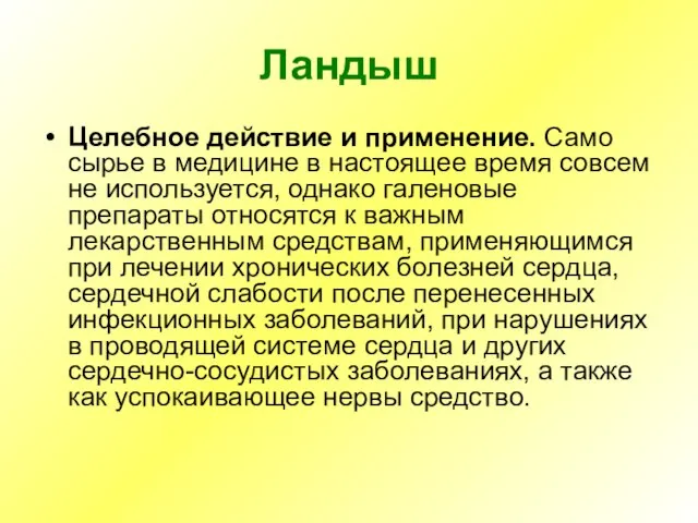 Ландыш Целебное действие и применение. Само сырье в медицине в настоящее время