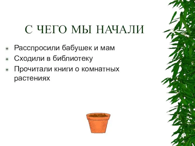 С ЧЕГО МЫ НАЧАЛИ Расспросили бабушек и мам Сходили в библиотеку Прочитали книги о комнатных растениях