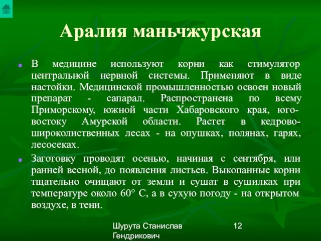 Шурута Станислав Гендрикович Аралия маньчжурская В медицине используют корни как стимулятор центральной