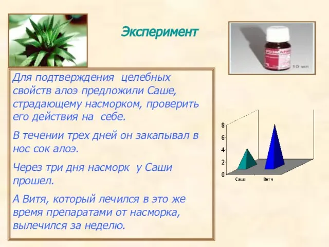 Эксперимент Для подтверждения целебных свойств алоэ предложили Саше, страдающему насморком, проверить его