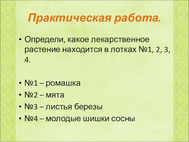 Практическая работа. Определи, какое лекарственное растение находится в лотках №1, 2, 3,