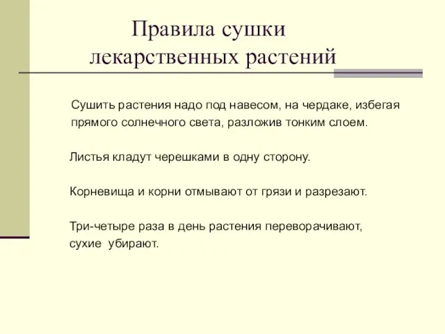 Правила сушки лекарственных растений Сушить растения надо под навесом, на чердаке, избегая