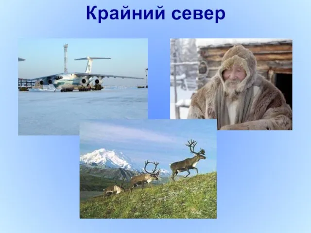 Крайний север