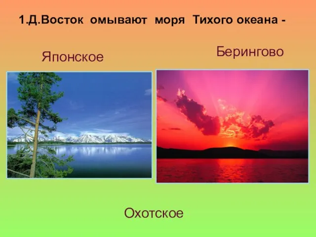 1.Д.Восток омывают моря Тихого океана - Японское Берингово Охотское