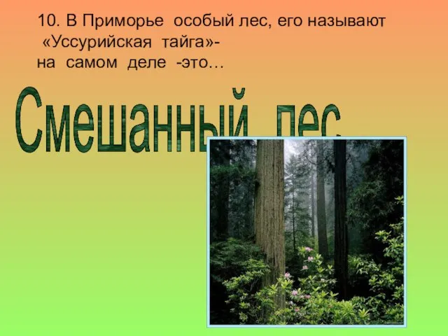 10. В Приморье особый лес, его называют «Уссурийская тайга»- на самом деле -это… Смешанный лес