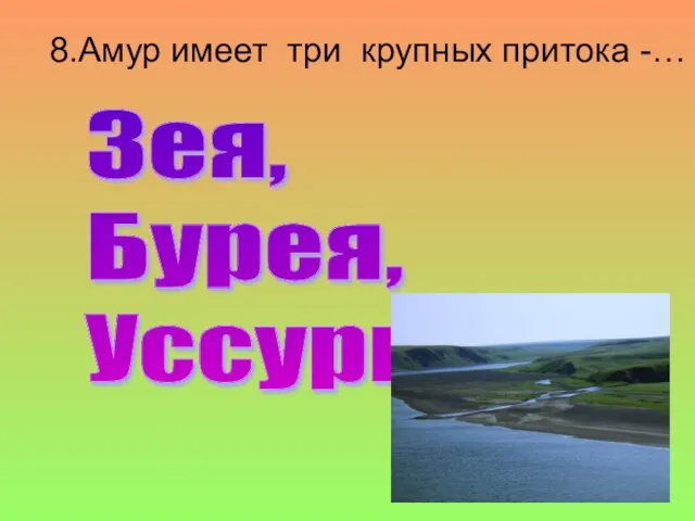 8.Амур имеет три крупных притока -… Зея, Бурея, Уссури