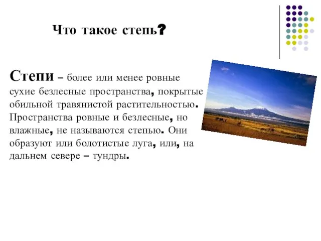 Что такое степь? Степи – более или менее ровные сухие безлесные пространства,