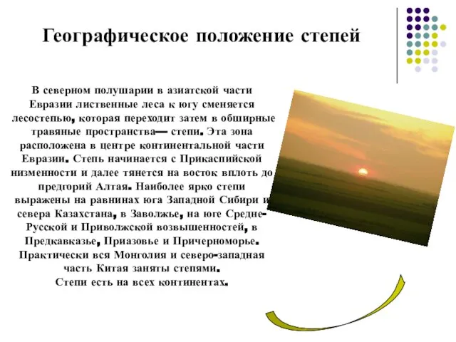 Географическое положение степей В северном полушарии в азиатской части Евразии лиственные леса