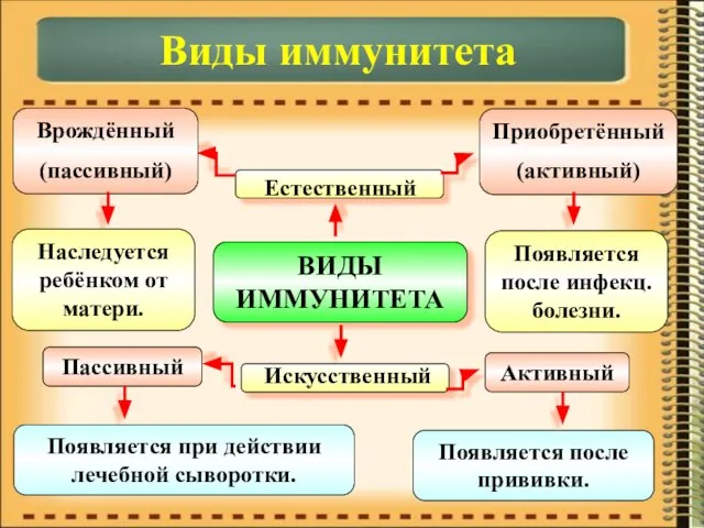 ВИДЫ ИММУНИТЕТА Естественный Искусственный Врождённый (пассивный) Приобретённый (активный) Пассивный Активный Наследуется ребёнком