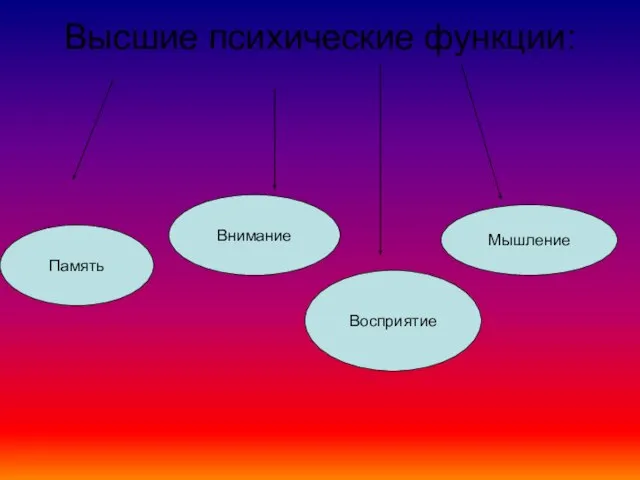 Высшие психические функции: Память Внимание Мышление Восприятие