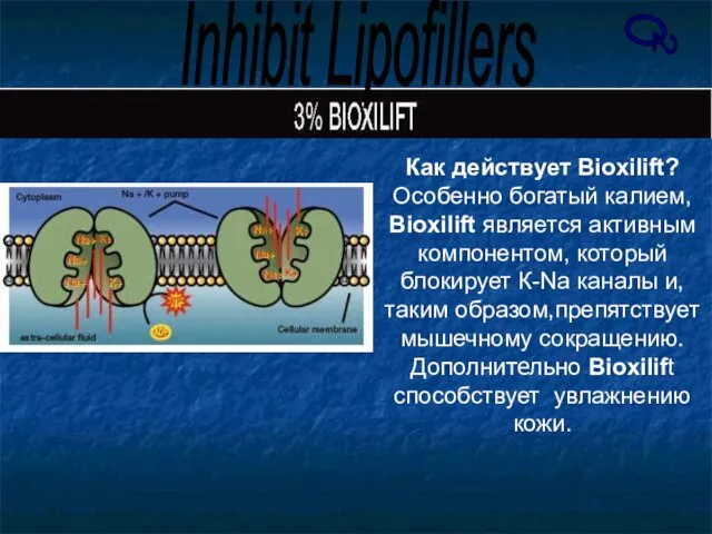 Как действует Bioxilift? Особенно богатый калием, Bioxilift является активным компонентом, который блокирует