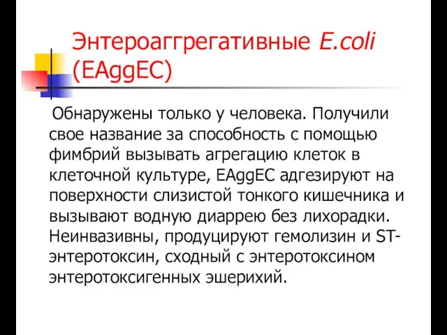 Энтероаггрегативные E.coli (EAggEC) Обнаружены только у человека. Получили свое название за способность