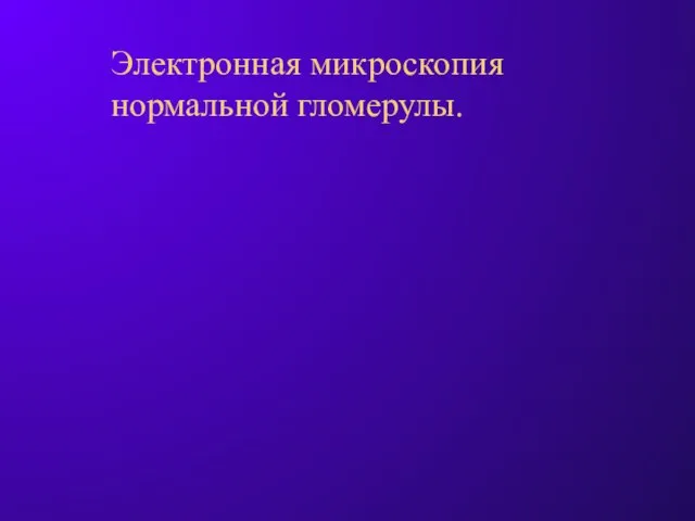 Электронная микроскопия нормальной гломерулы.