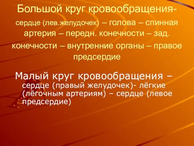 Большой круг кровообращения- сердце (лев.желудочек) – голова – спинная артерия – передн.