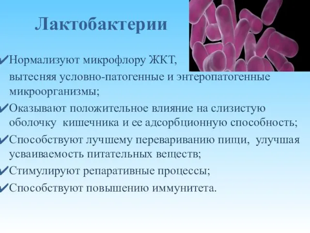 Лактобактерии Нормализуют микрофлору ЖКТ, вытесняя условно-патогенные и энтеропатогенные микроорганизмы; Оказывают положительное влияние