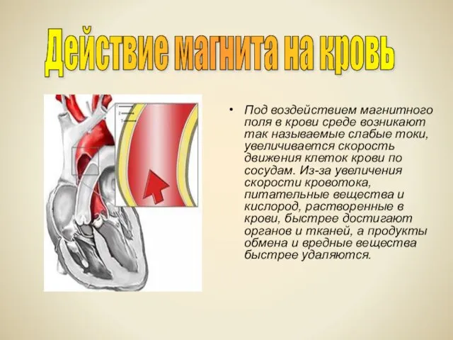 Под воздействием магнитного поля в крови среде возникают так называемые слабые токи,