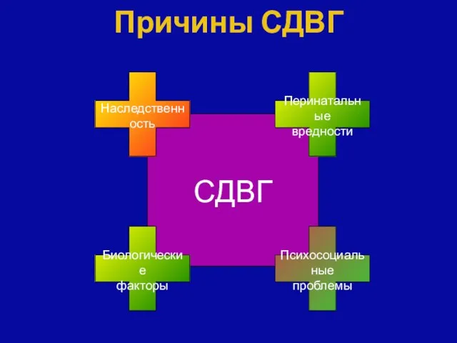 Причины СДВГ СДВГ Наследственность Перинатальные вредности Психосоциальные проблемы Биологические факторы