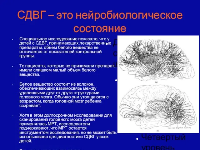 Специальное исследование показало, что у детей с СДВГ, принимающих лекарственные препараты, объем