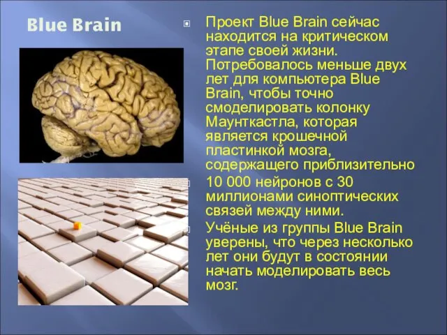 Blue Brain Проект Blue Brain сейчас находится на критическом этапе своей жизни.