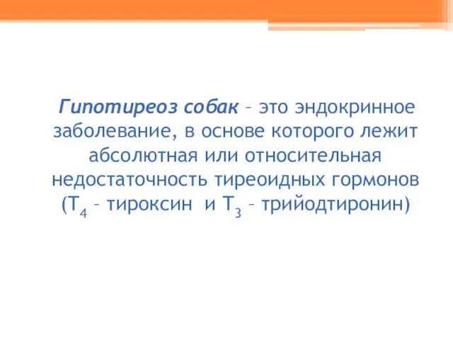 Гипотиреоз собак – это эндокринное заболевание, в основе которого лежит абсолютная или