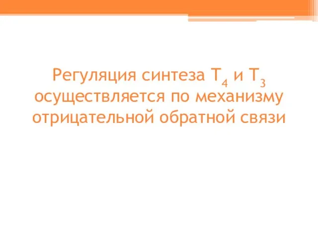 Регуляция синтеза Т4 и Т3 осуществляется по механизму отрицательной обратной связи