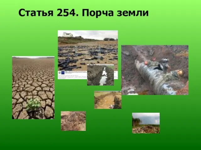 Статья 254. Порча земли