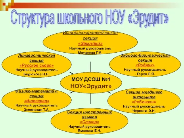 Структура школьного НОУ «Эрудит»