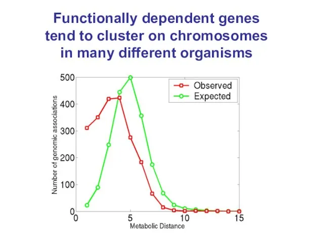 Functionally dependent genes tend to cluster on chromosomes in many different organisms