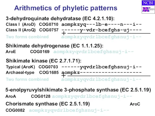 Arithmetics of phyletic patterns 3-dehydroquinate dehydratase (EC 4.2.1.10): Class I (AroD) COG0710