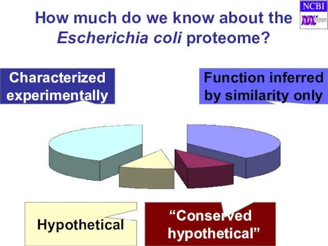 Characterized experimentally “Hypothetical” Function inferred by similarity only “Conserved hypothetical” How much