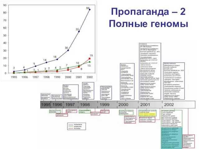 Пропаганда – 2 Полные геномы