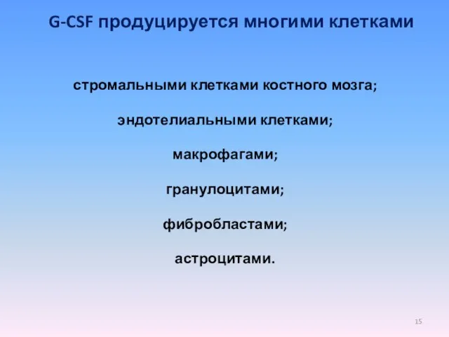 G-CSF продуцируется многими клетками стромальными клетками костного мозга; эндотелиальными клетками; макрофагами; гранулоцитами; фибробластами; астроцитами.