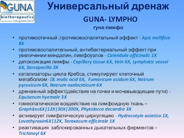 Универсальный дренаж GUNA- LYMPHO гуна-лимфо противоотечный ,противовоспалительный эффект - Apis mellifica 8X