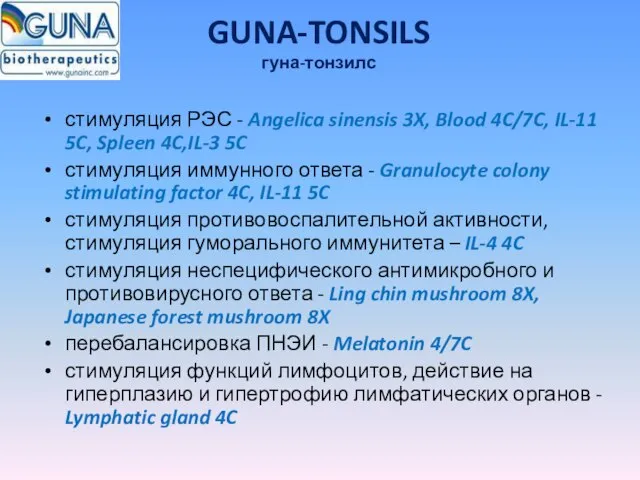 GUNA-TONSILS гуна-тонзилс стимуляция РЭС - Angelica sinensis 3X, Blood 4C/7C, IL-11 5C,