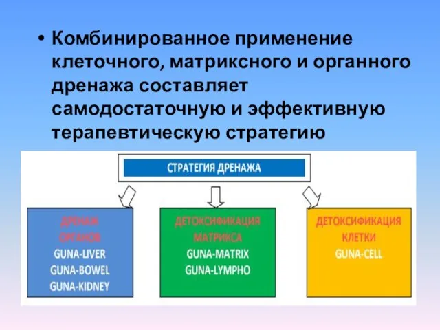Комбинированное применение клеточного, матриксного и органного дренажа составляет самодостаточную и эффективную терапевтическую стратегию детоксикации.