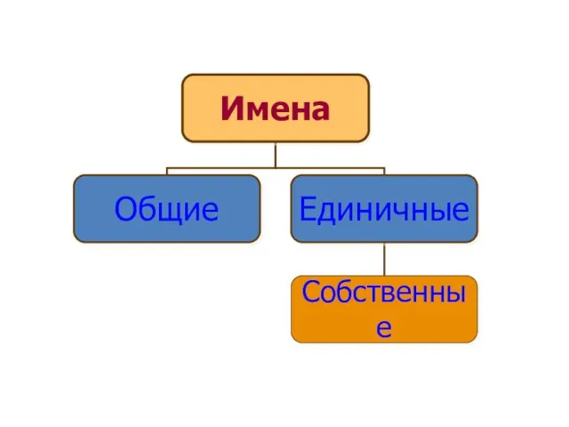 Имена Общие Единичные Собственные