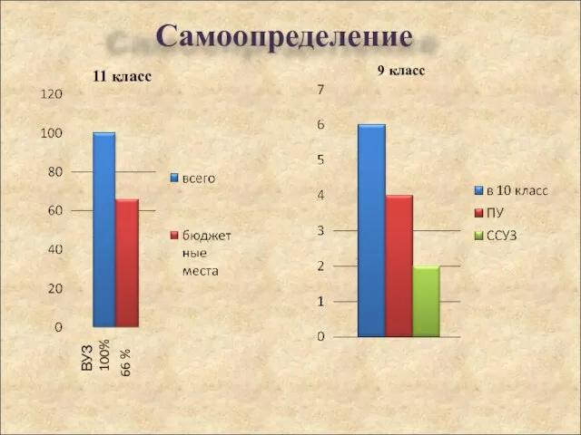 ВУЗ 100% 66 % 11 класс 9 класс