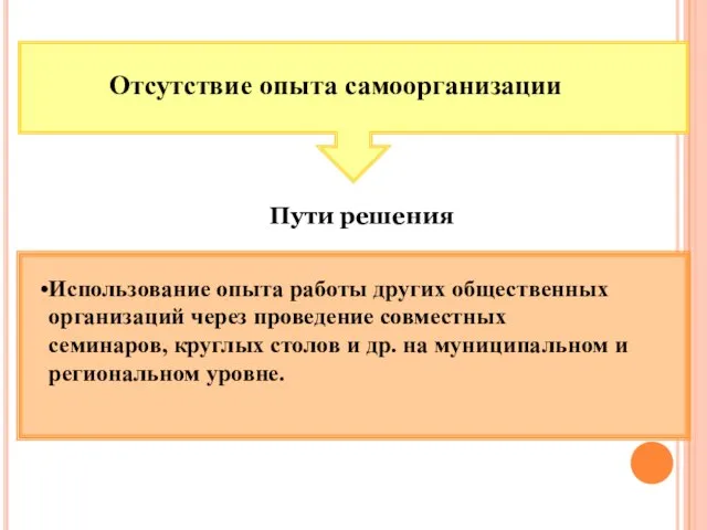 Отсутствие опыта самоорганизации Пути решения Использование опыта работы других общественных организаций через