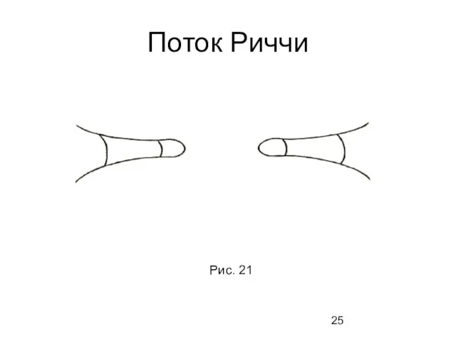 Поток Риччи Рис. 21