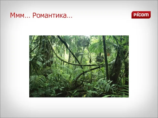 Ммм… Романтика…