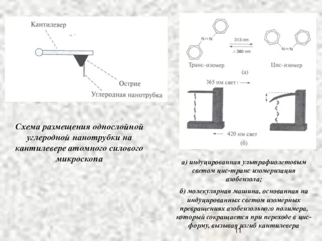 Схема размещения однослойной углеродной нанотрубки на кантилевере атомного силового микроскопа а) индуцированная
