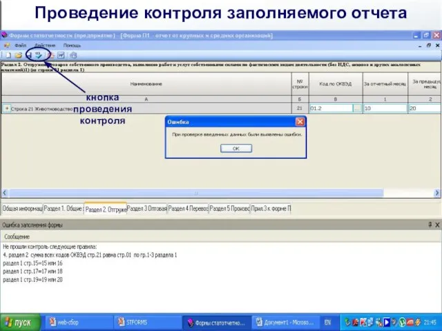 Проведение контроля заполняемого отчета кнопка проведения контроля